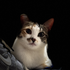 Avatar for Goobersacct
