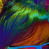 Avatar for Fer_Freaxxx