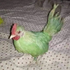 Avatar di Mega_8960