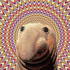 Avatar for d_e_a_d_f_l_y