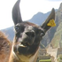 Avatar di lengobbens