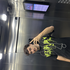 Avatar di JoaoLasmar