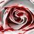 Avatar for kamiska_16