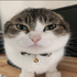 Evi için avatar