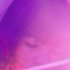 Avatar for Melody's Echo Chamber