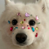 Avatar for gyuluvs