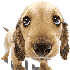 Avatar for brendamp3