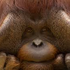 Avatar for Aer0_isbadmusic
