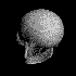 Avatar for Cassi_77