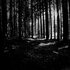 Avatar di Greenhollow
