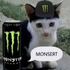 Avatar für Itay_tmr