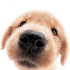 Avatar for sudddz