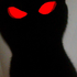 Avatar for Solussoo
