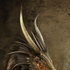 Avatar di eusouspam