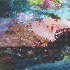 Avatar for newgenhater