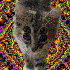 Avatar for RipDeer