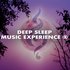 Avatar for Deep Sleep Music Experience