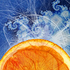 Avatar for AlphaOrange
