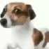 Avatar for Lipehlol