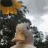 Avatar for ambitiousduck