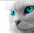 Avatar for paatrrysia