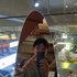 Avatar for aliefLastWave