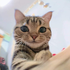 Avatar for EmberWiggles