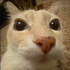 Avatar for Centlock