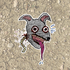 YungSalmon için avatar