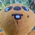 Avatar for hanjiquokka