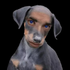 Avatar for drowsyjester