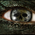 Avatar for ArachonX