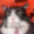 Avatar for MrOozer