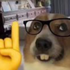 Avatar di garl1cbreaded