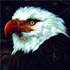 Avatar for m3renner87