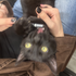 Avatar for zeynepine