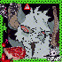 Avatar for rredrocket