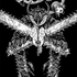 Avatar for Monkey_D_Goofy