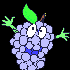 Avatar de mapleson