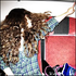 Avatar for major_baby_