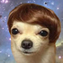 Avatar for BTPNK_Sebastian