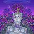 Avatar for life2fast