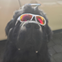 Avatar for mailfries