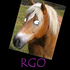 Avatar for Samu2727