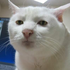 Avatar for Das_Heu