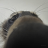 Avatar for weird0hs