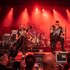 Dead Kings için avatar