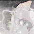Avatar for ligghtskin