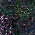Avatar for vaver1