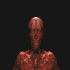 Avatar for Seth3